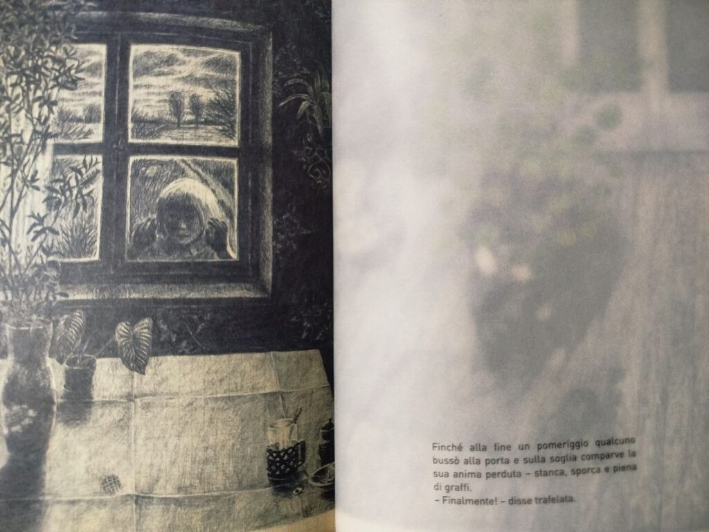 Un'illustrazione tratta da L'anima smarrita di Olga Tokarczuk, con le tavole illustrate di Joanna Concejo (Topipittori) Un'opera poetica e malinconica che invita a rallentare, ad ascoltare il silenzio e a ritrovare quella parte di sé che il dolore e la frenesia possono far smarrire.